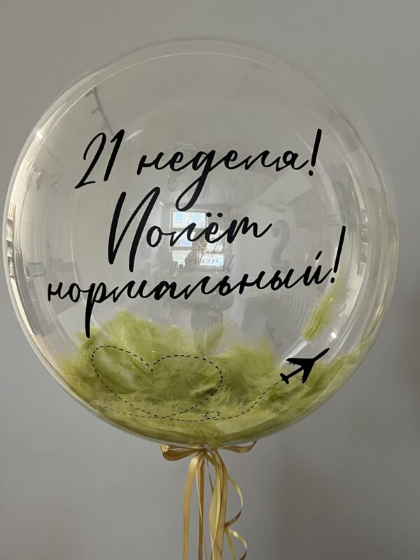 Шар «Полёт нормальный» — изображение 1