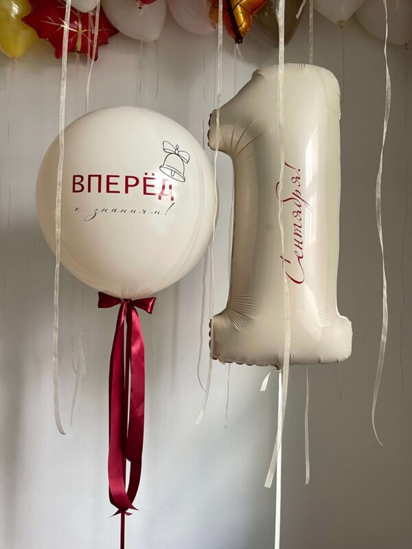 Сет «Вперёд к знаниям» — изображение 1