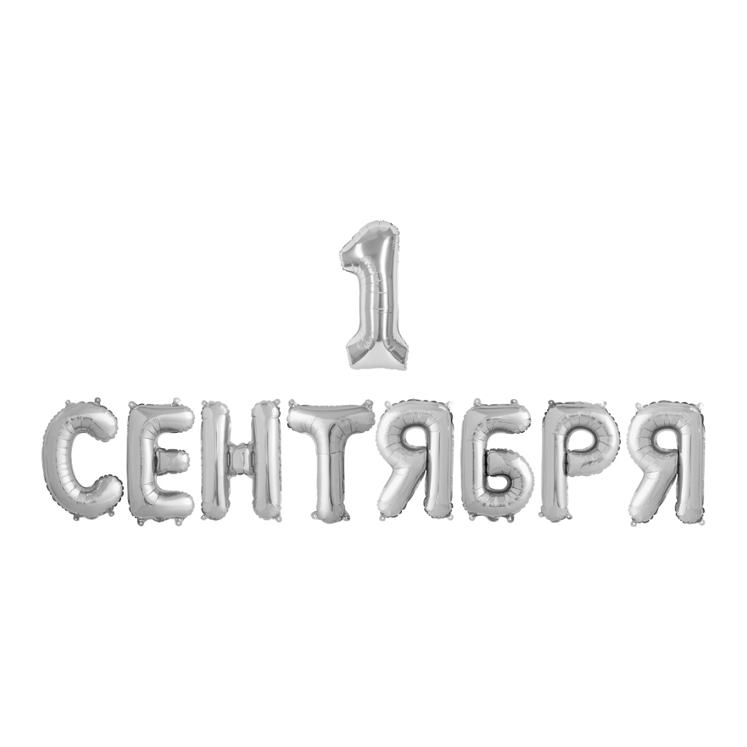 WB_83bf4c47_8879_4874_84bf_99c9671992d4_cac30554_5539_11f1_b641_5c6f6916e93d Растяжка «1 Сентября, Серебро» — изображение 1